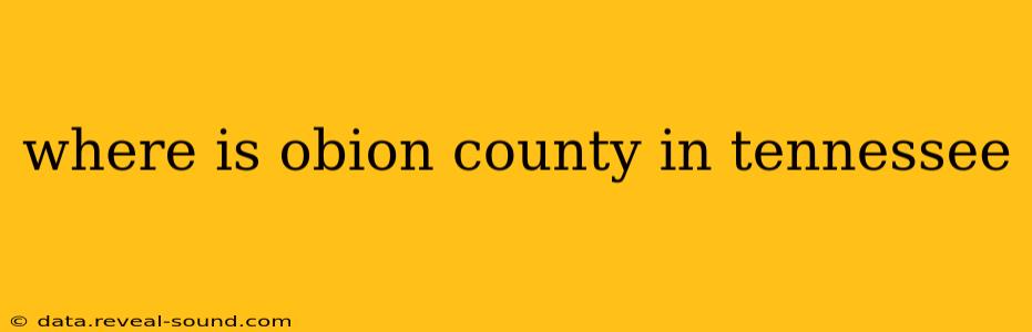 where is obion county in tennessee