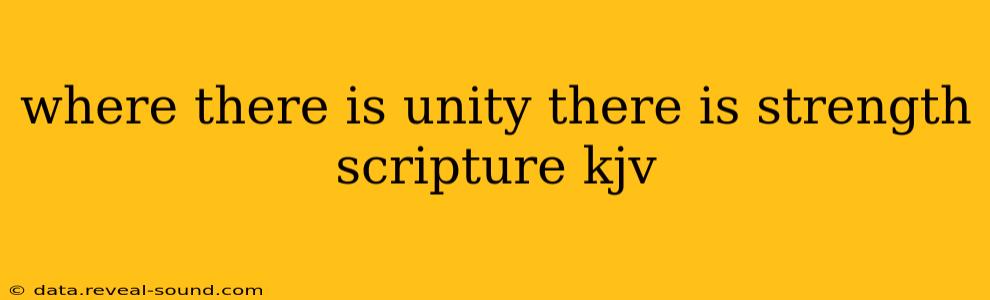 where there is unity there is strength scripture kjv