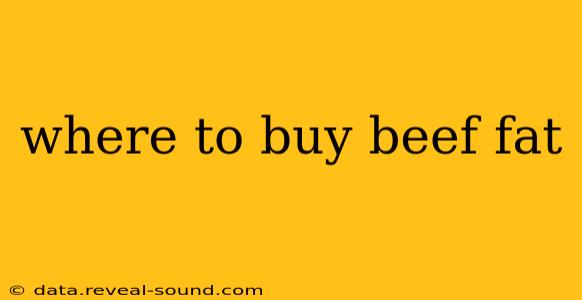 where to buy beef fat