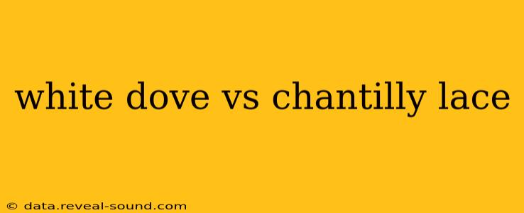 white dove vs chantilly lace