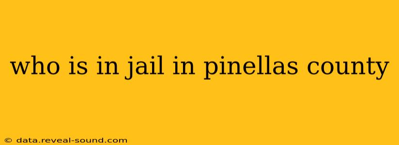 who is in jail in pinellas county