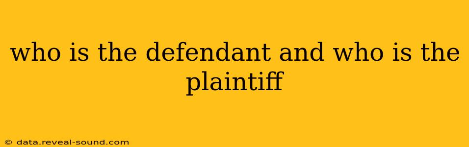 who is the defendant and who is the plaintiff