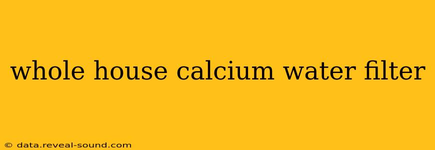 whole house calcium water filter