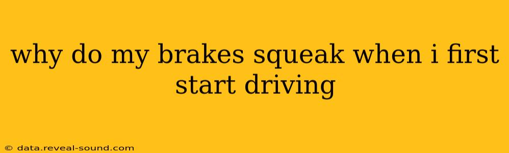 why do my brakes squeak when i first start driving