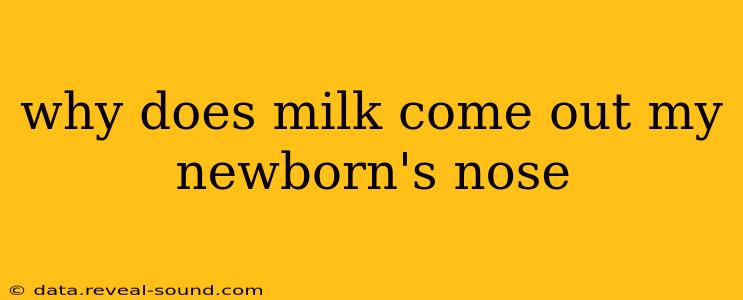why does milk come out my newborn's nose