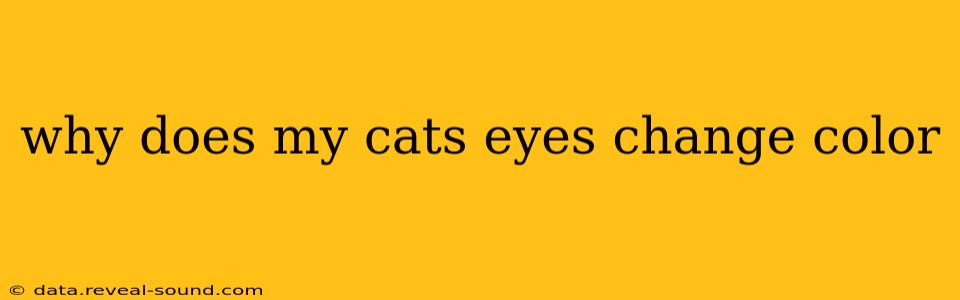 why does my cats eyes change color