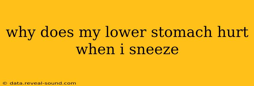 why does my lower stomach hurt when i sneeze