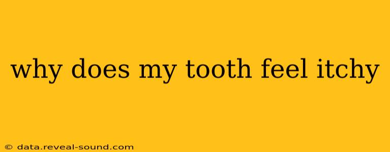 why does my tooth feel itchy