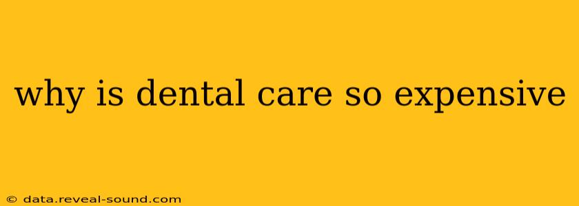 why is dental care so expensive