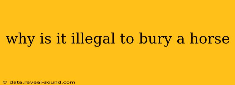 why is it illegal to bury a horse