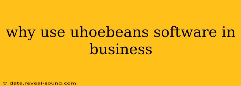 why use uhoebeans software in business