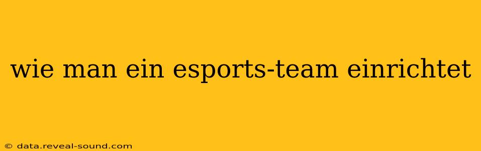 wie man ein esports-team einrichtet