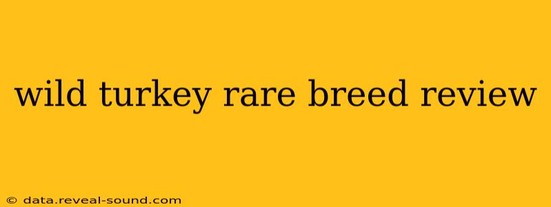 wild turkey rare breed review
