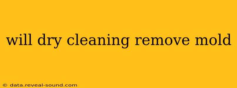 will dry cleaning remove mold