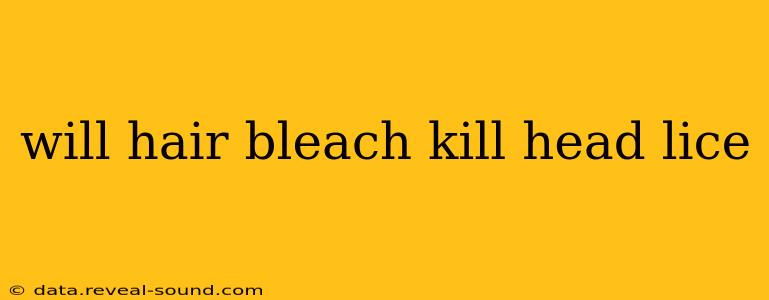 will hair bleach kill head lice