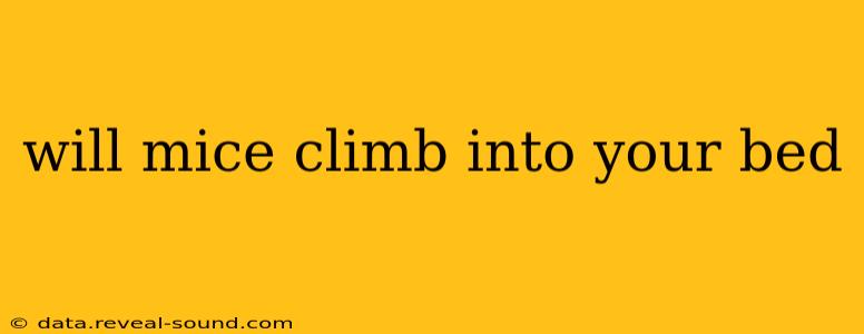 will mice climb into your bed