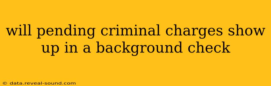 will pending criminal charges show up in a background check