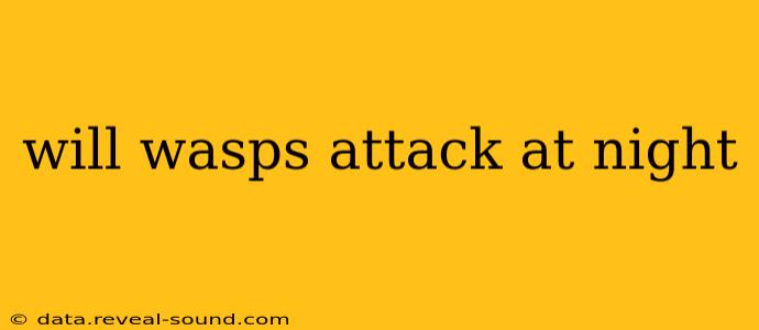 will wasps attack at night