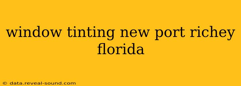 window tinting new port richey florida
