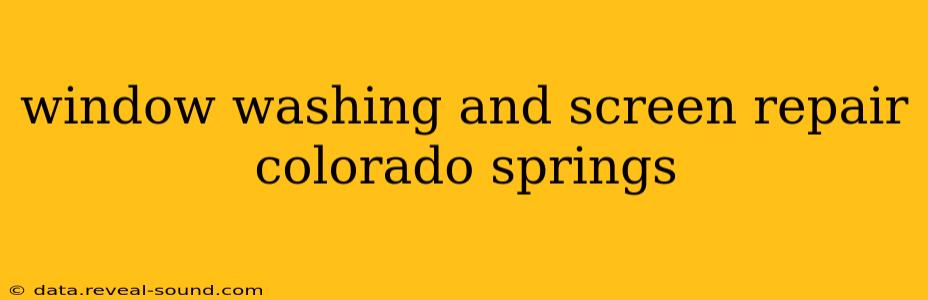 window washing and screen repair colorado springs