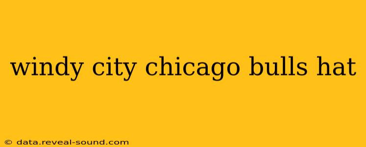 windy city chicago bulls hat