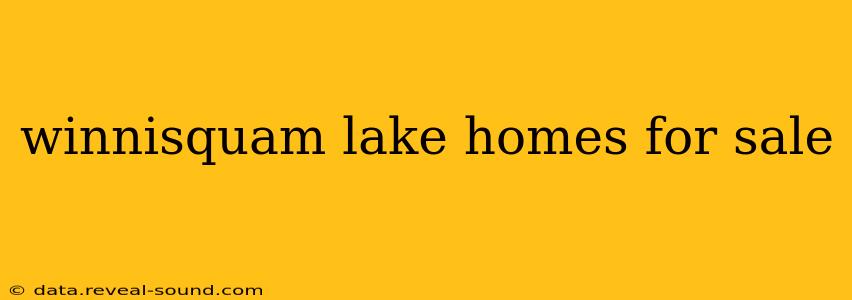 winnisquam lake homes for sale