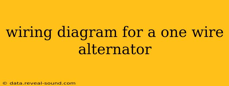 wiring diagram for a one wire alternator