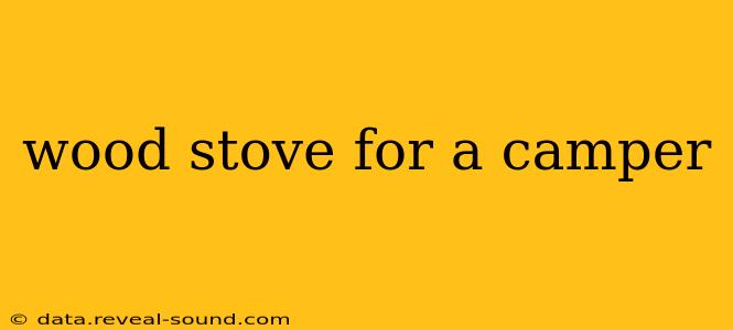 wood stove for a camper