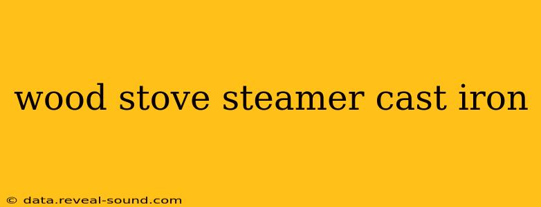 wood stove steamer cast iron